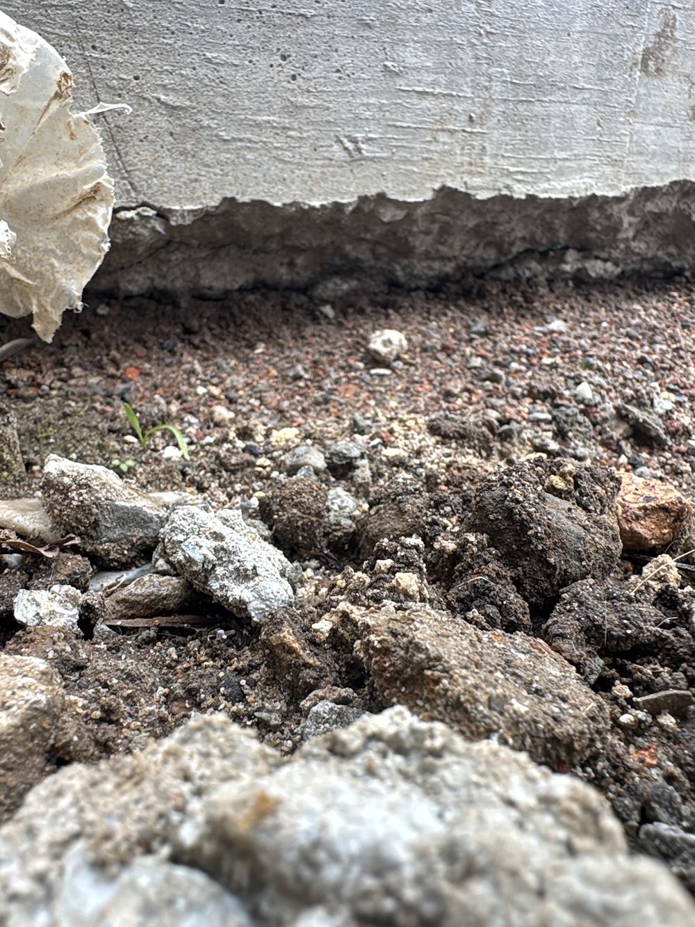 Voids and poor compaction found beneath a driveway slab, recorded during a defect investigation in Ermington