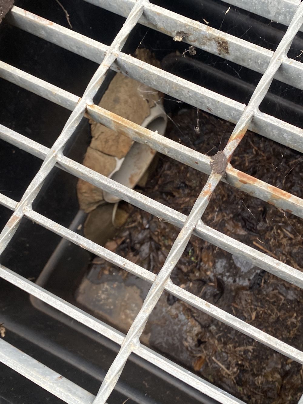 Stormwater pit with no working clearance between its inlet and outlet, found during a pre-purchase inspection in Carlingford