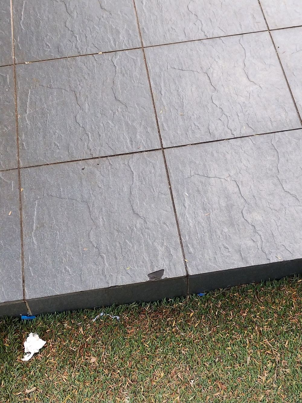 Cracked and broken tiles needing replacement on an established home, found during a pre-purchase inspection in Blacktown